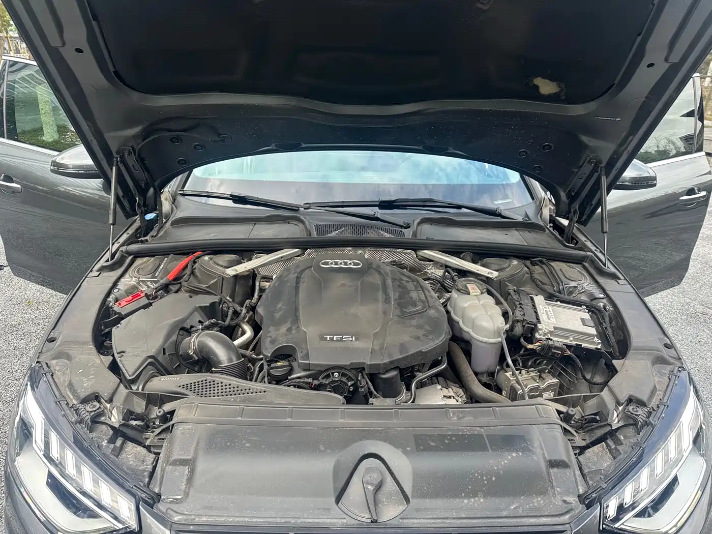 Audi A4L 2022 40 TFSI Luxury Elegance фото 17