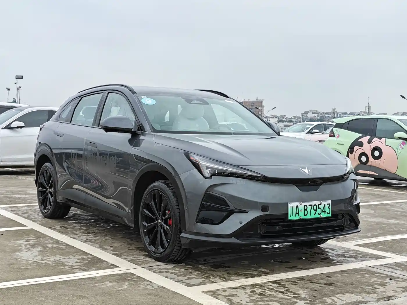 ARCFOX EXTREME FOX POLAR FOX ALPHA T5