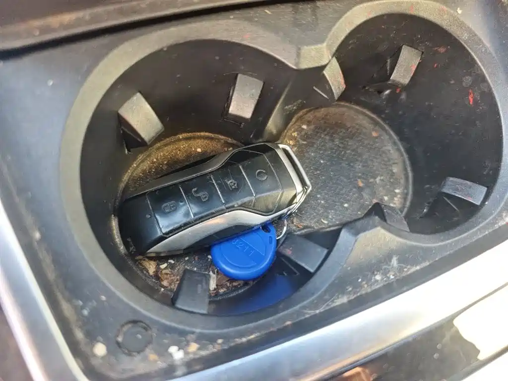 BYD Qin Pro New Energy 2019 DM Super Edition 1.5TI Automatic Smart Connect Enjoy China VI фото 12