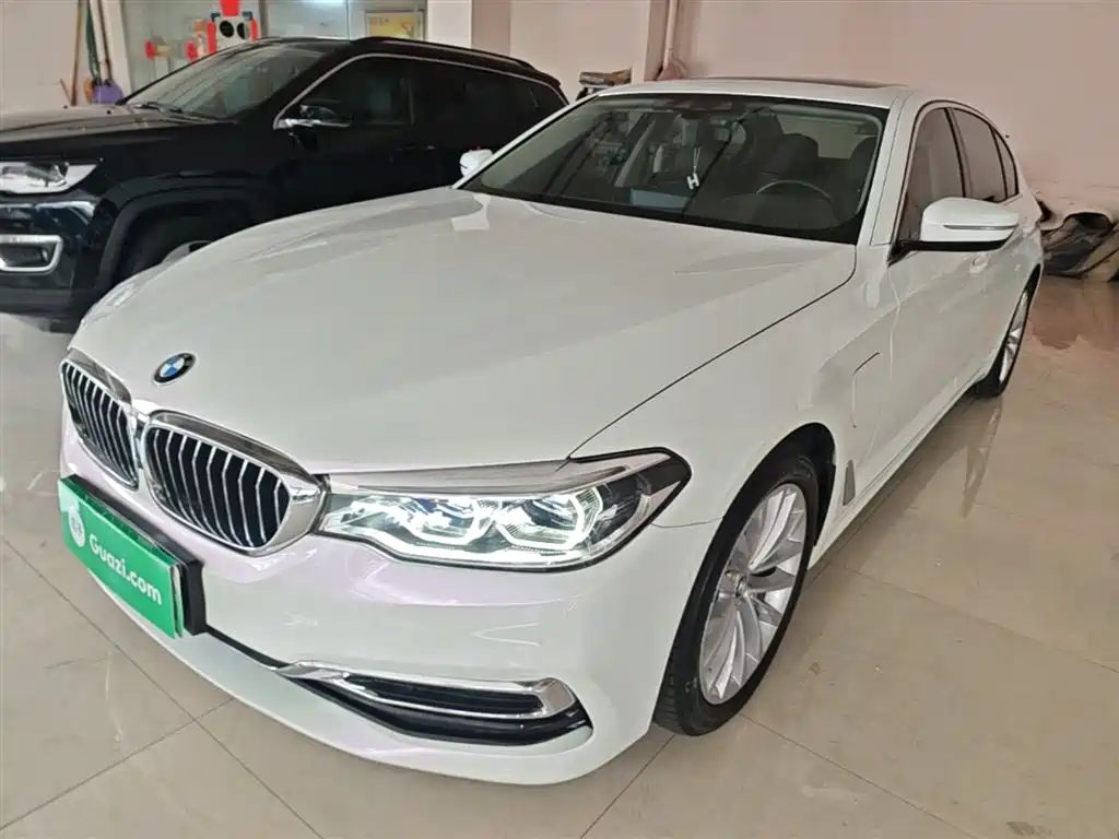 BMW 5 Series New Energy 2020 530Le Range Upgrade Pioneer Edition фото 2