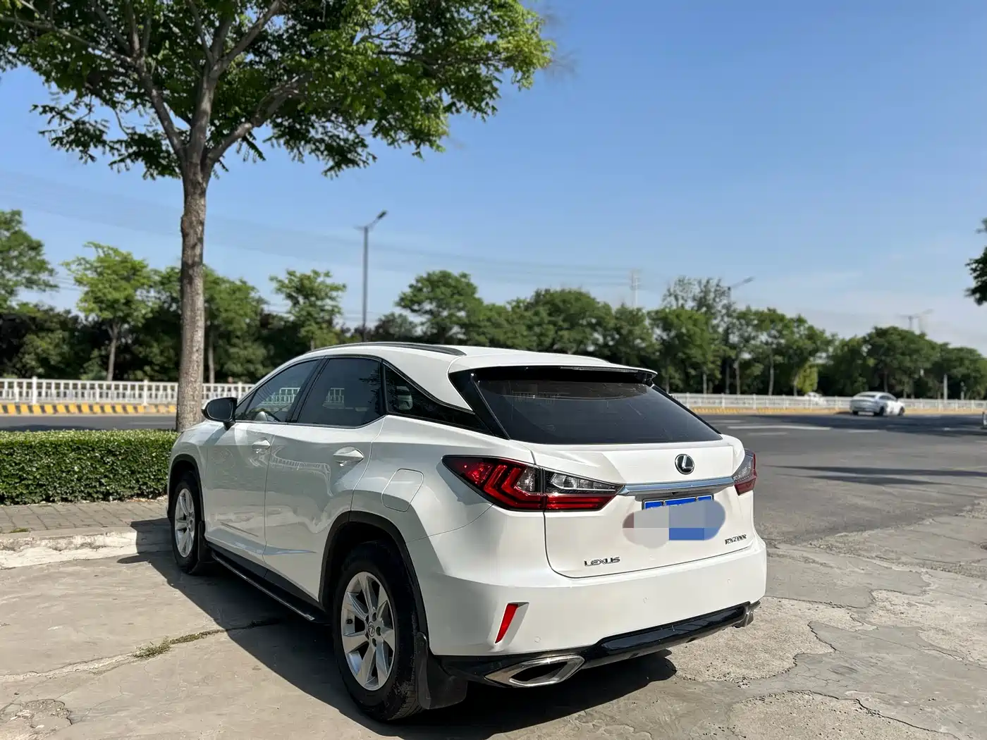 LEXUS RX