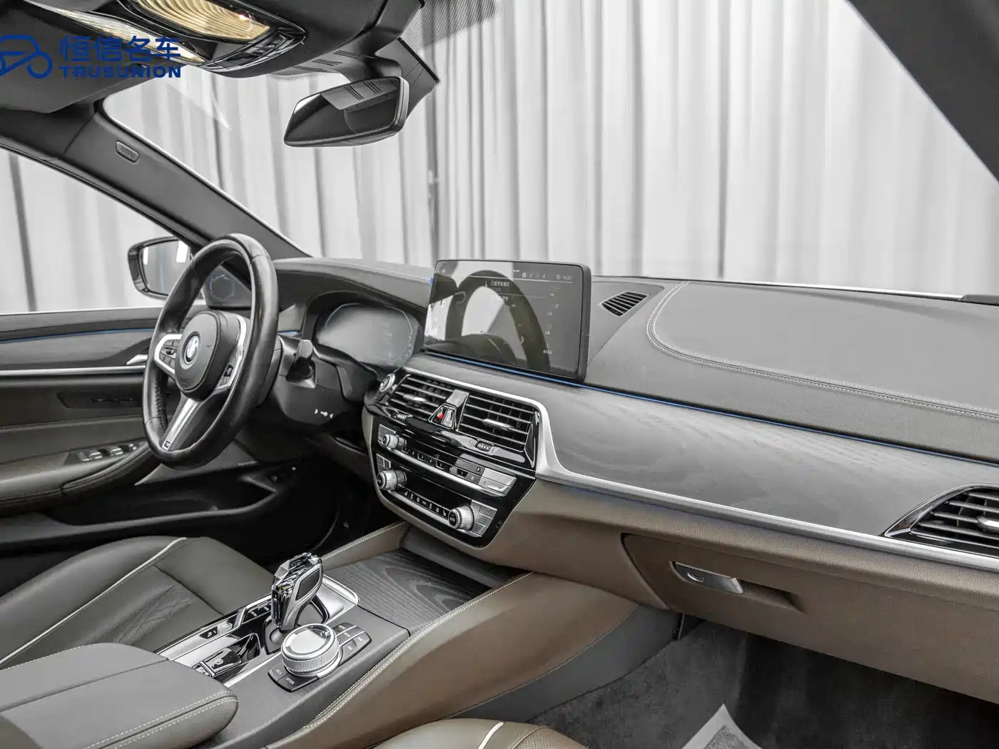 BMW 5 SERIES NEW ENERGY