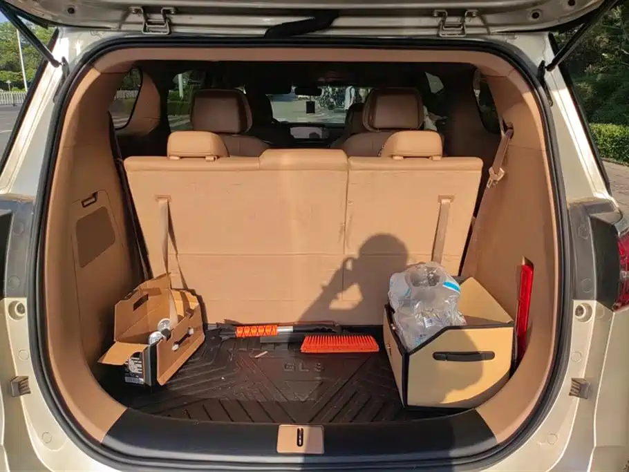 Buick GL8 2020 Model ES Landglory 653T Premium фото 4