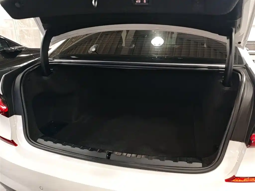 BMW 3 Series 2022 325Li M Sport Package фото 19