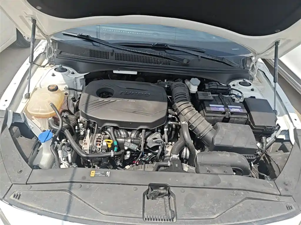Фото 20 - Hyundai Lafesta