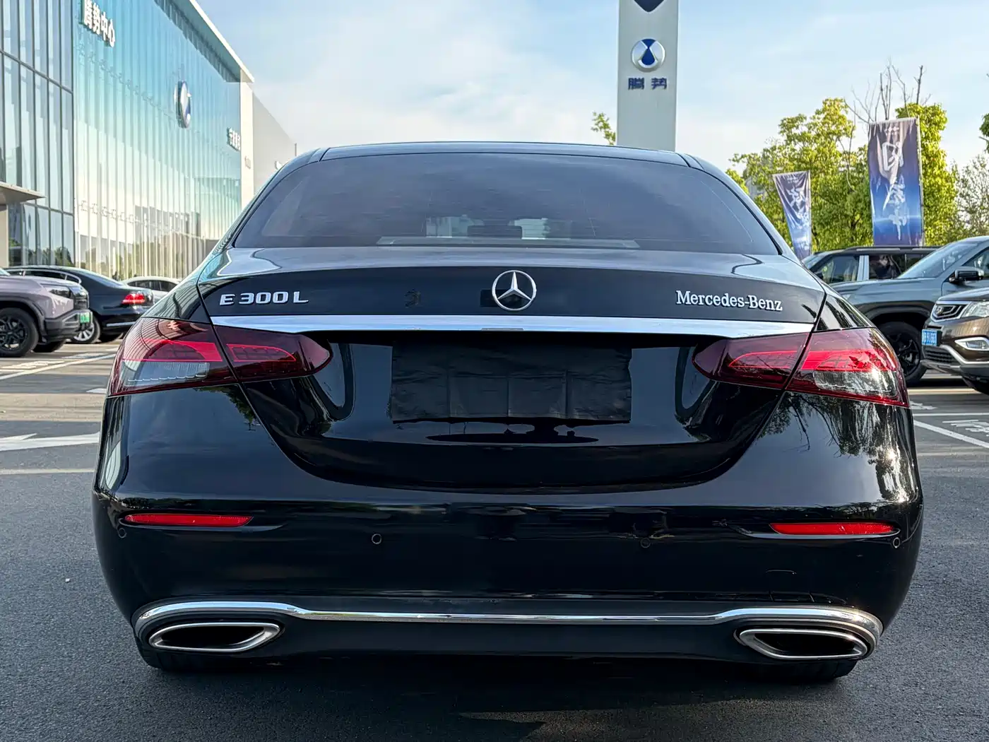 Mercedes-Benz E-Class 2023 E 300 L Luxury фото 17