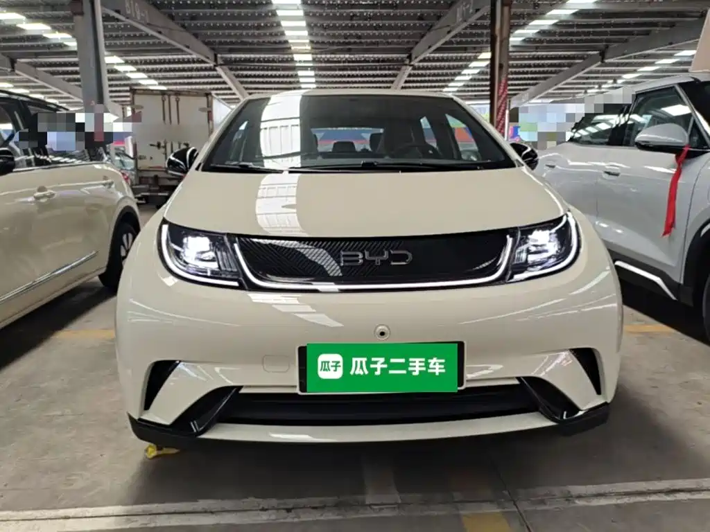 BYD Dolphin 2026 2025 420km Freedom Edition