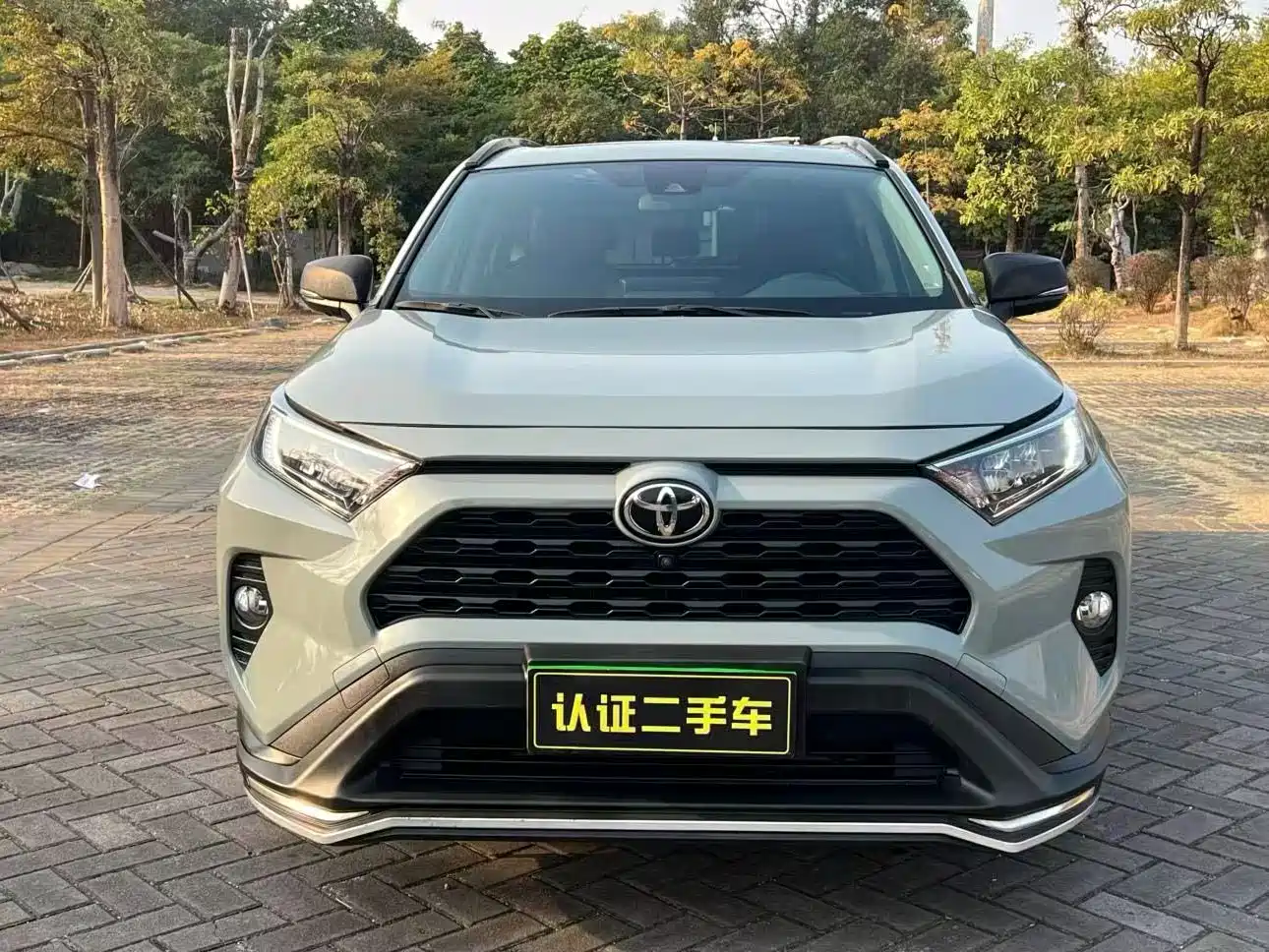 Toyota RAV4 Rongfang 2020 2.0L CVT 2WD Fashion PLUS фото 2