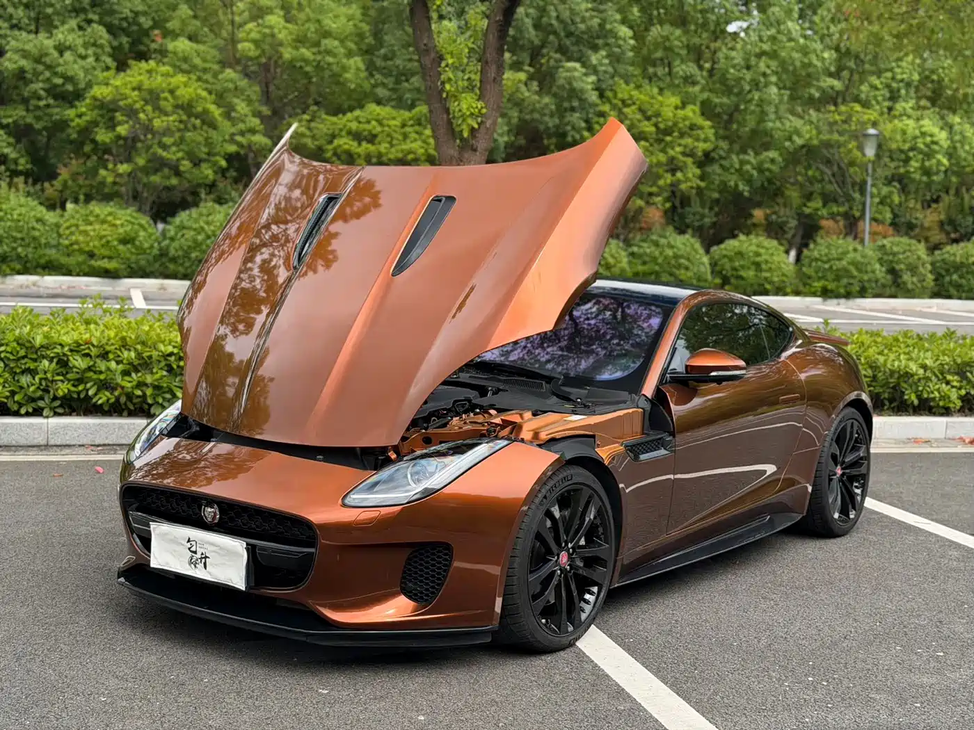 Jaguar F-TYPE 2019 2019 2.0T Coupe