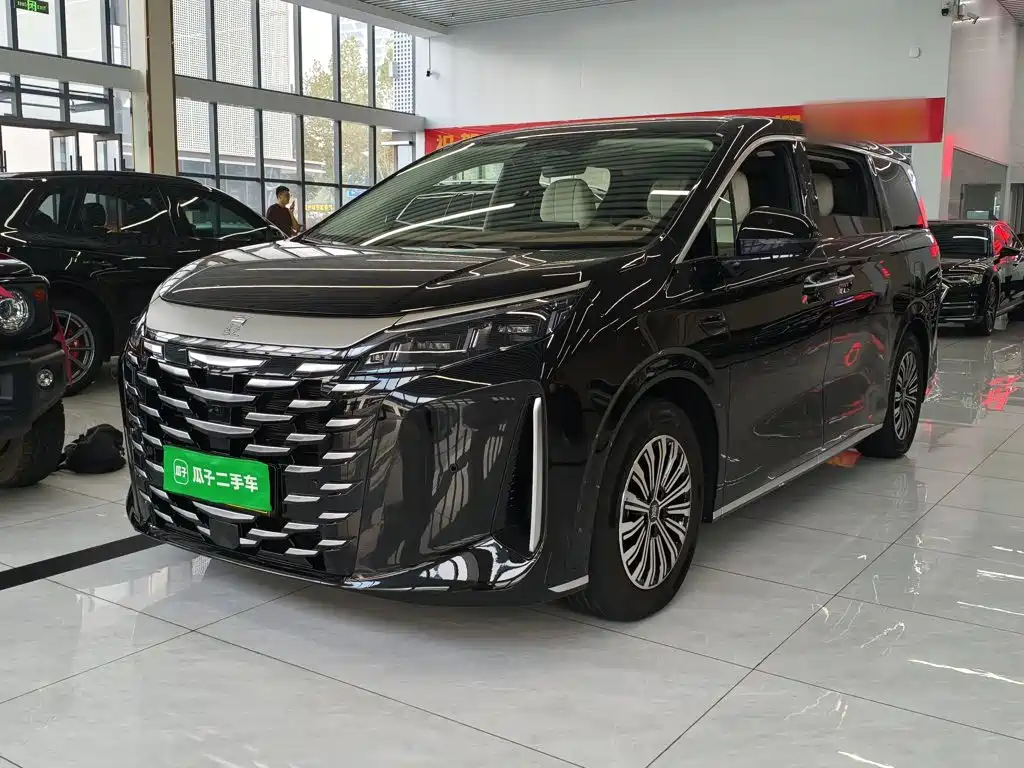 Фото 1 - BYD Xia