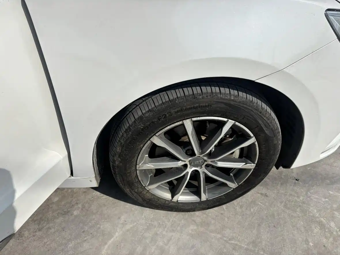 Geely Borui 2021 2021 1.8T Pilot Edition+