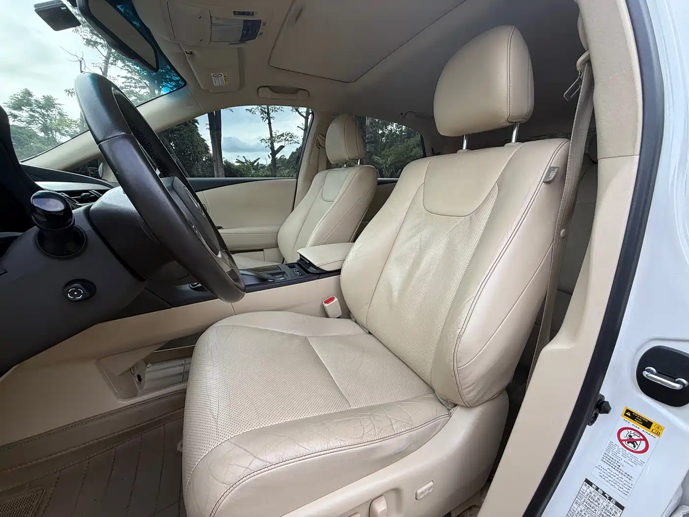 Lexus RX Classic 2014 270 Special Limited Edition фото 12