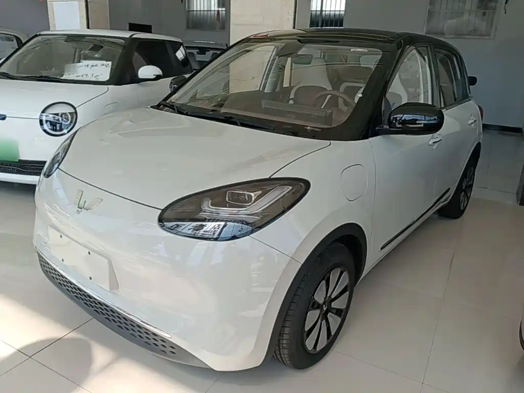 Wuling Motors Wuling Bingo 2026 2025 Model 333km Joy Edition