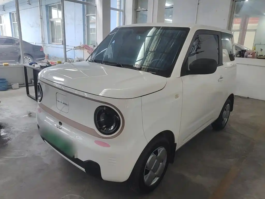 Geely Galaxy Panda 2025
