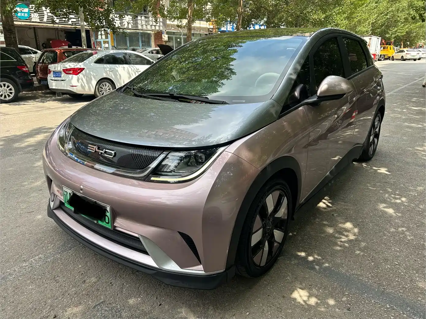 BYD Dolphin 2021