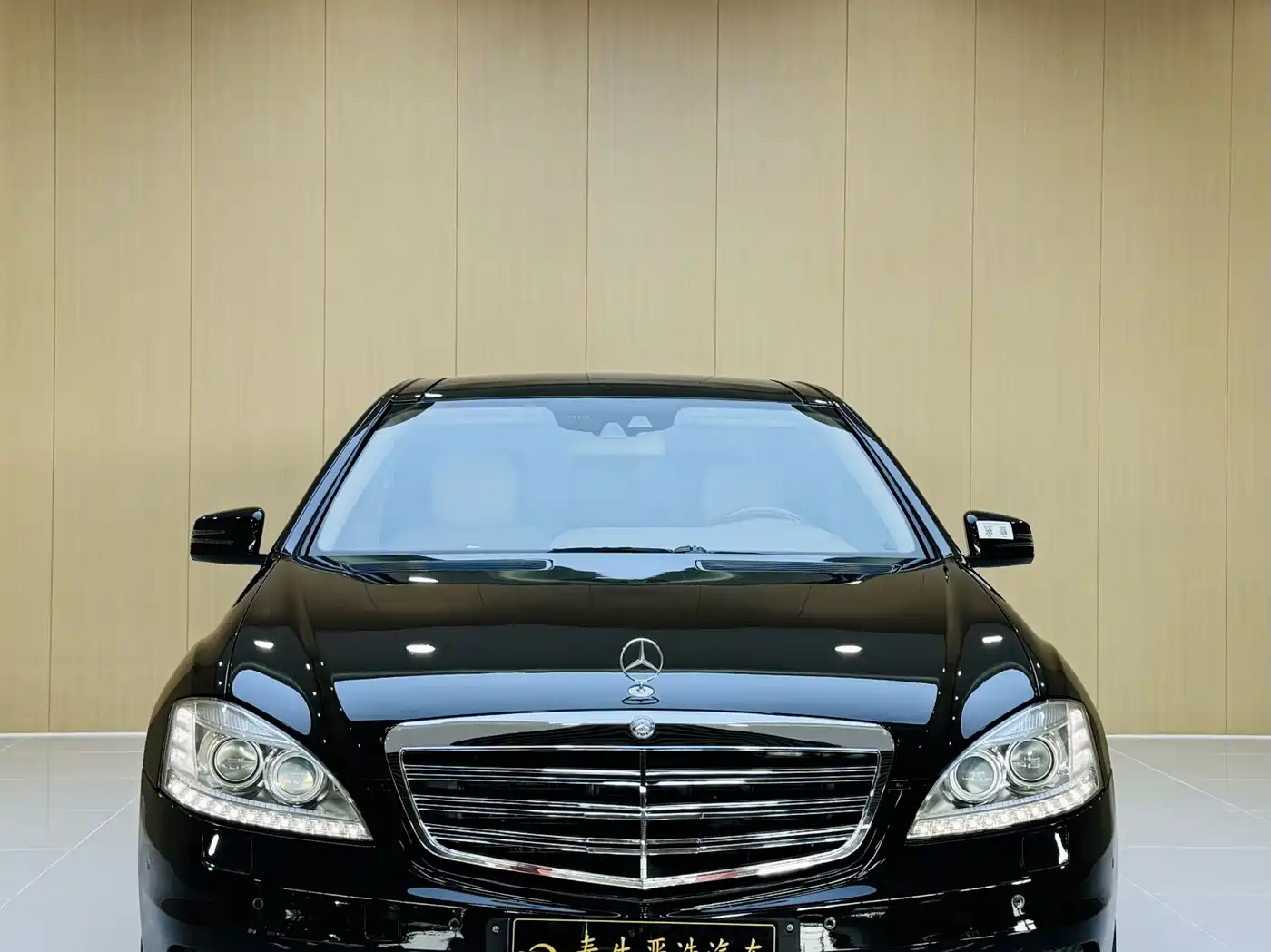 Mercedes-Benz S-Class 2010 S 600 L фото 2