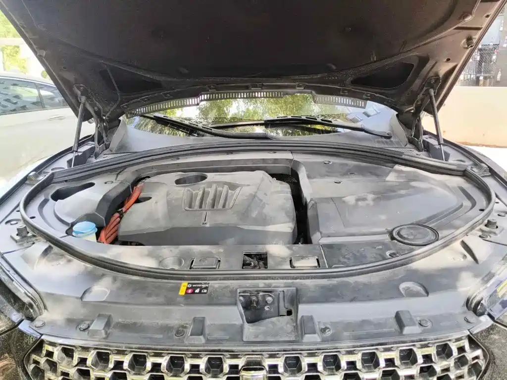 WEY VV7 New Energy 2020 2020 PHEV 2.0T Flagship Model