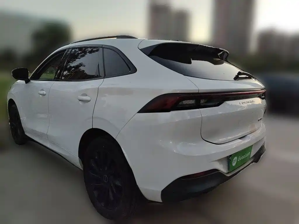Dongfeng Fengxing Fengxing T5 EVO 2021 2021 1.5TD DCT Diamond Edition