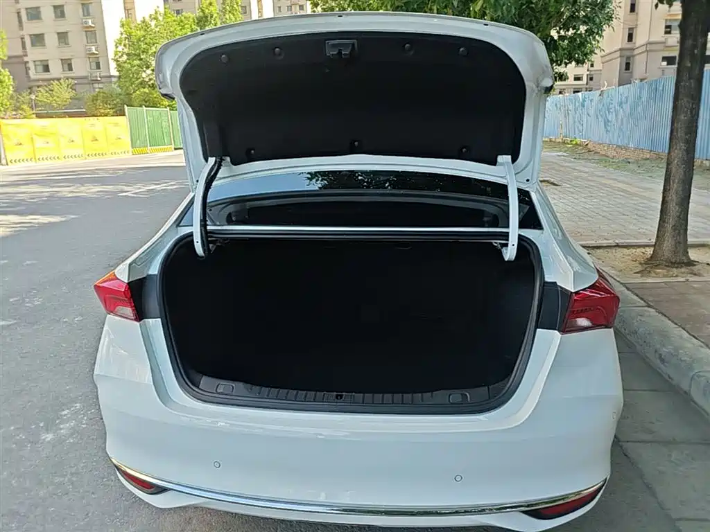 BUICK WEILANG