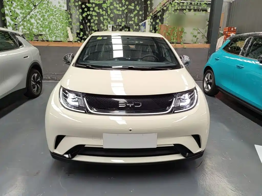 BYD Dolphin 2026 2025 420km Freedom Edition