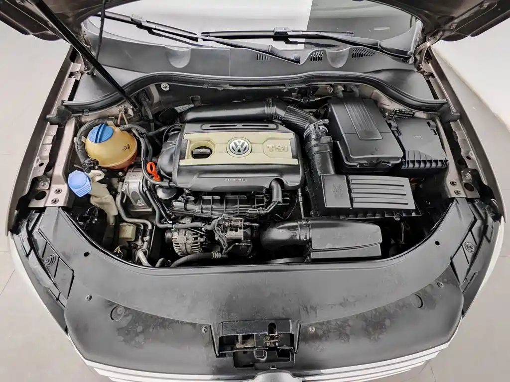 صورة 6 - Volkswagen Magotan