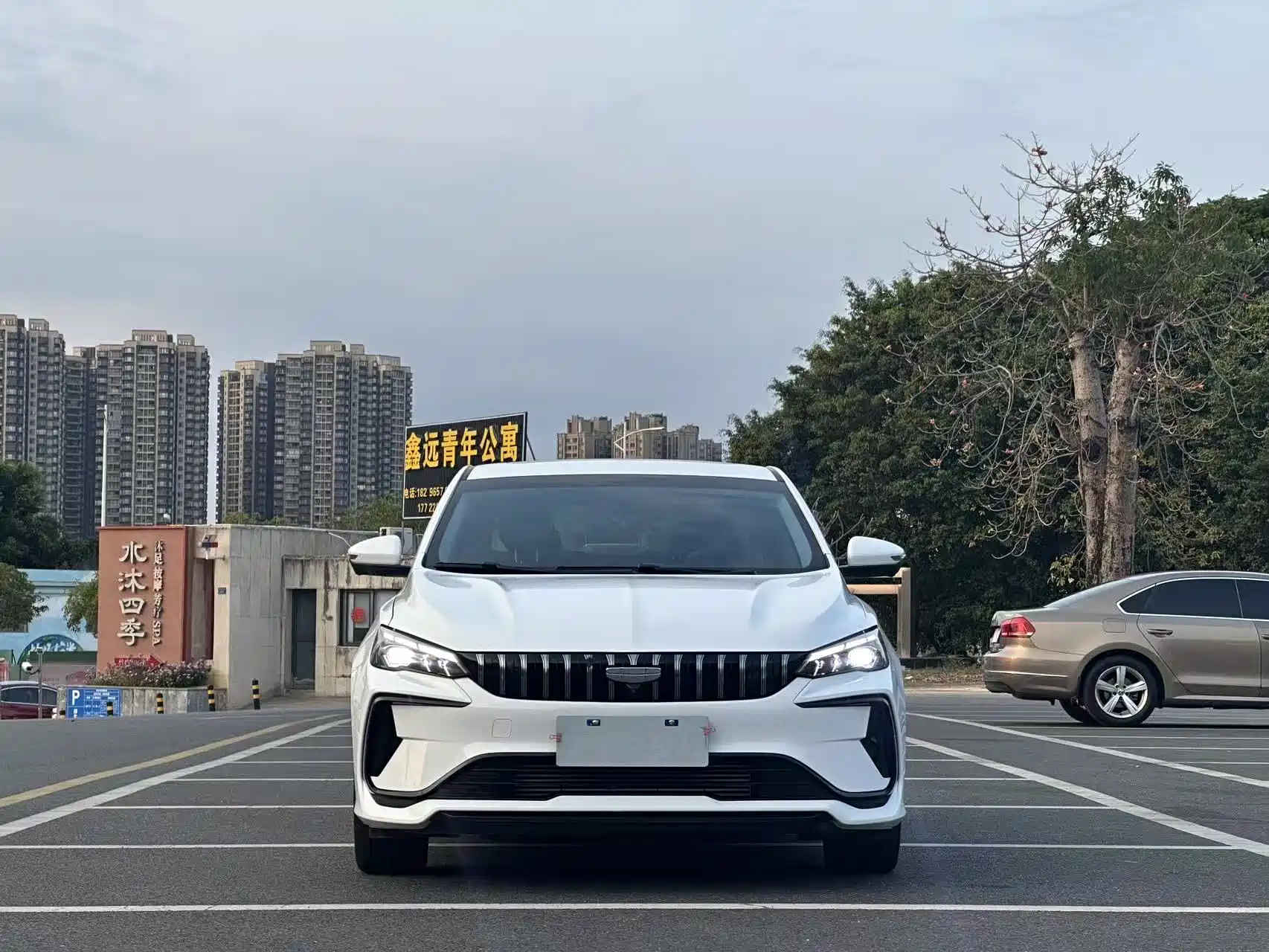 Фото 2 - Geely Binrui