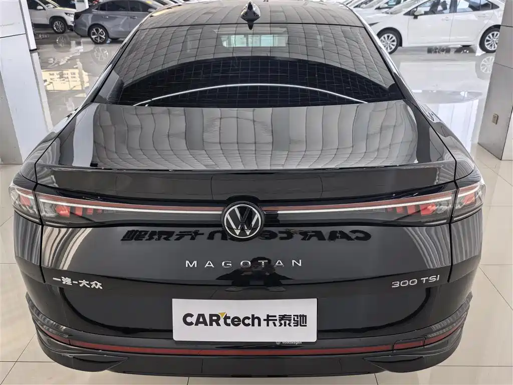 Volkswagen Magotan 2024 300TSI DSG Premium Edition (Eye-catching Package) фото 5