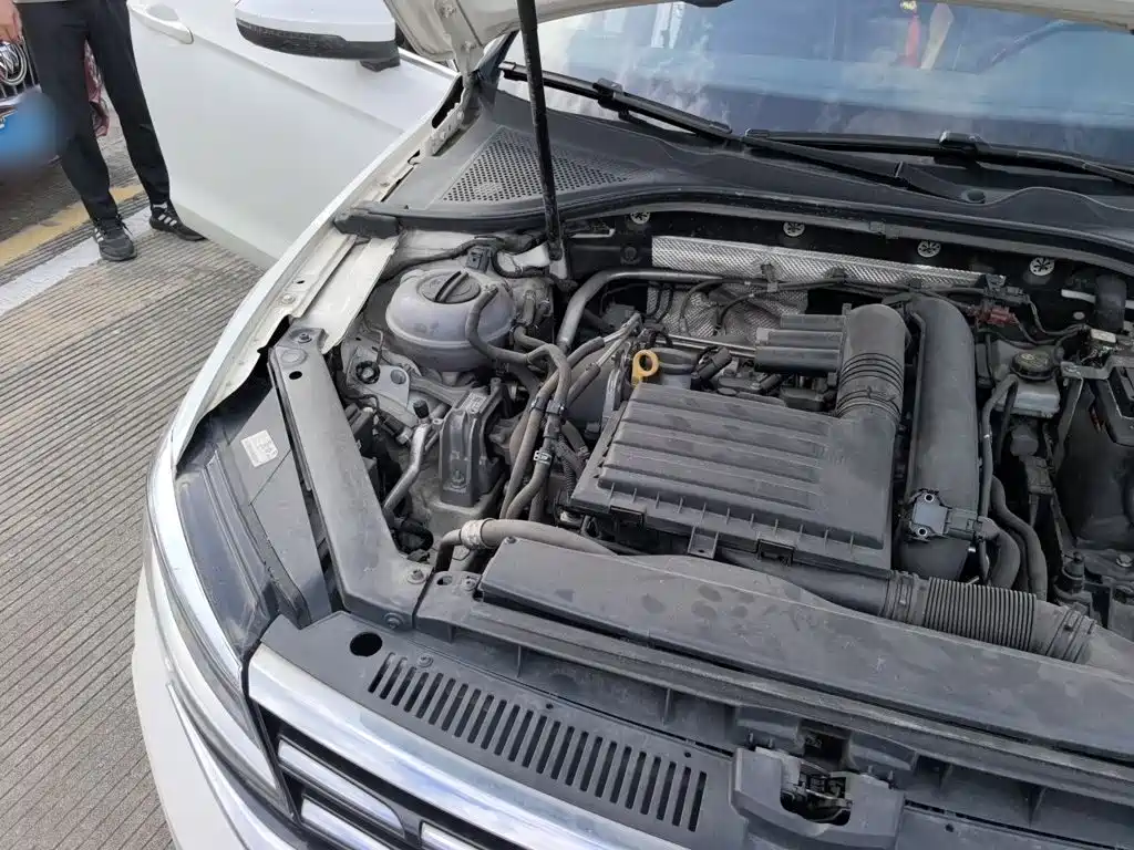 صورة 19 - Volkswagen Lamando