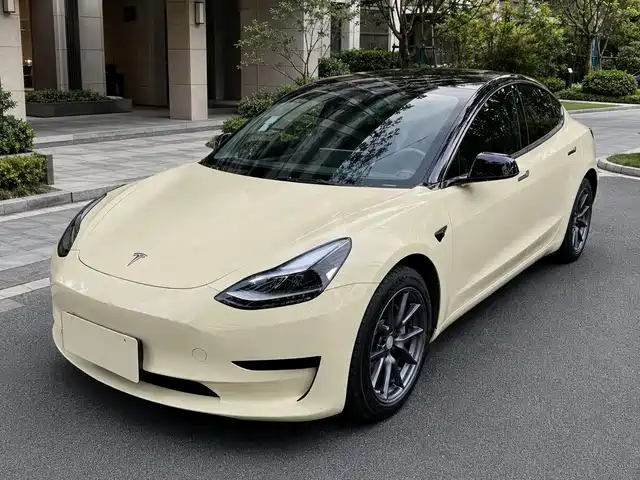 Tesla Model 3 Задний привод