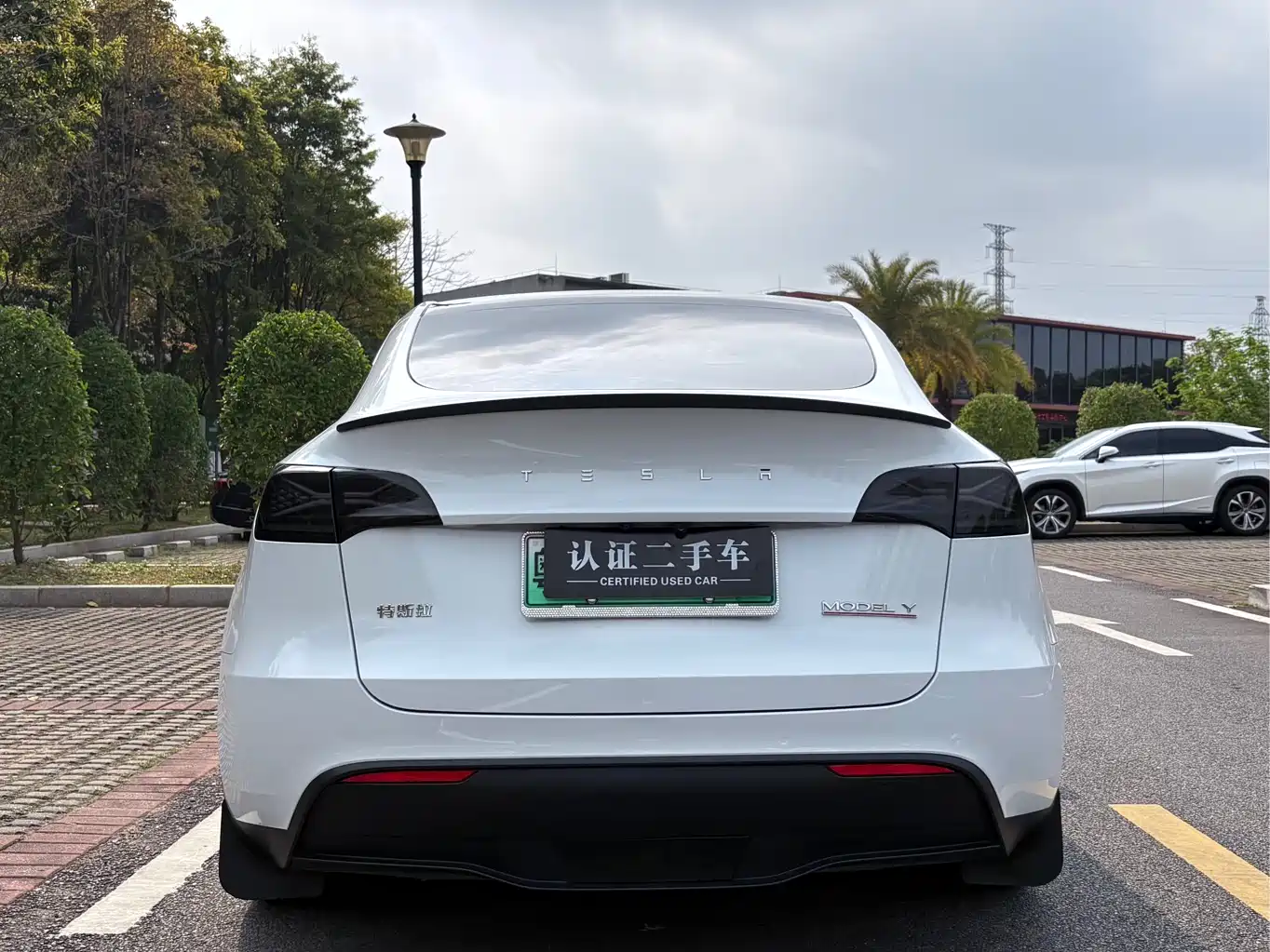 TESLA MODEL Y