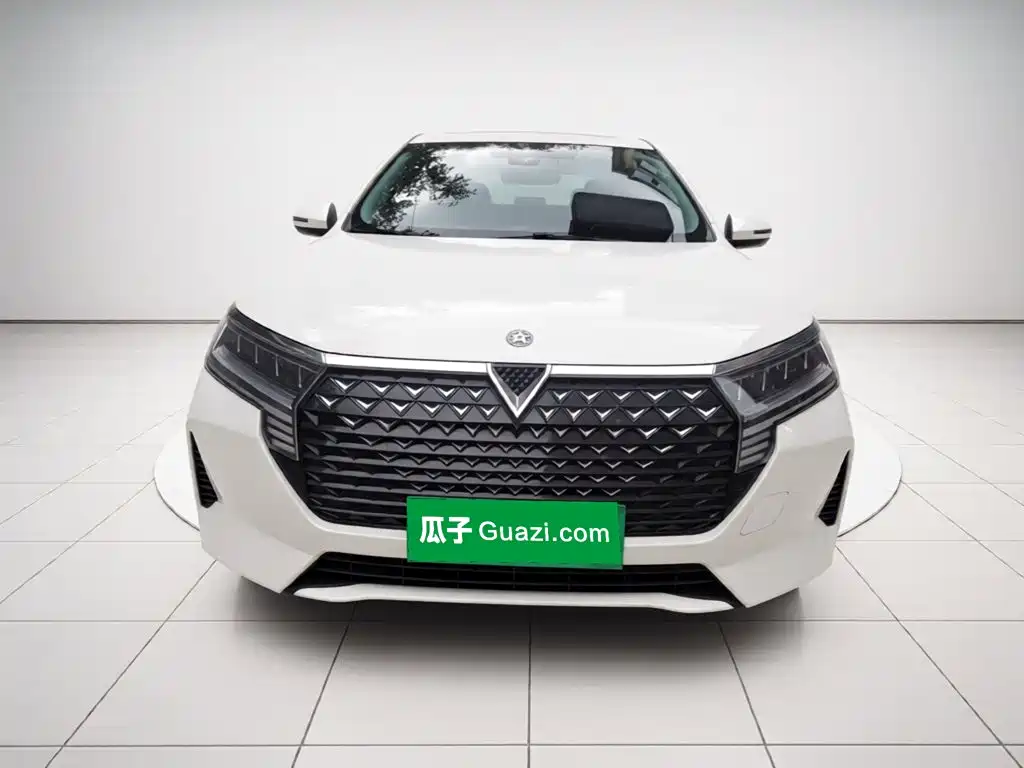 2024 Venucia D60