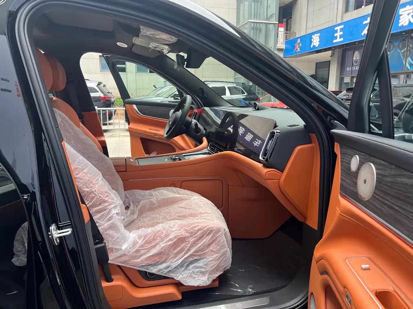 AITO Wenjie AITO M9 2024 Range Extender Max Edition 42kWh 6-seater фото 8