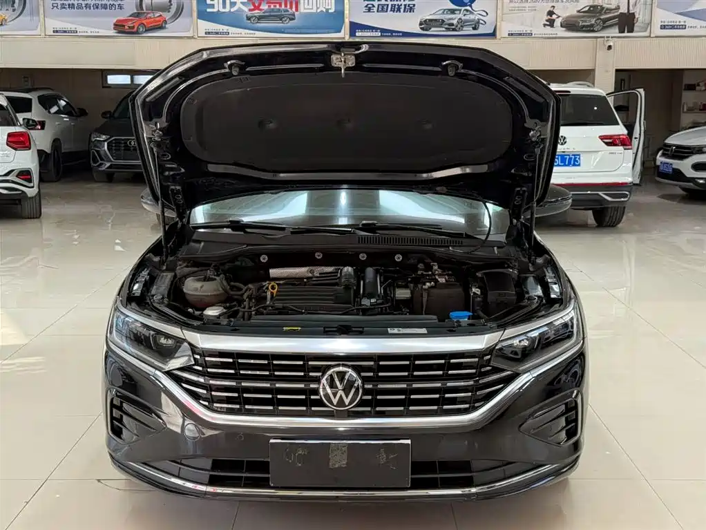  PASSAT
