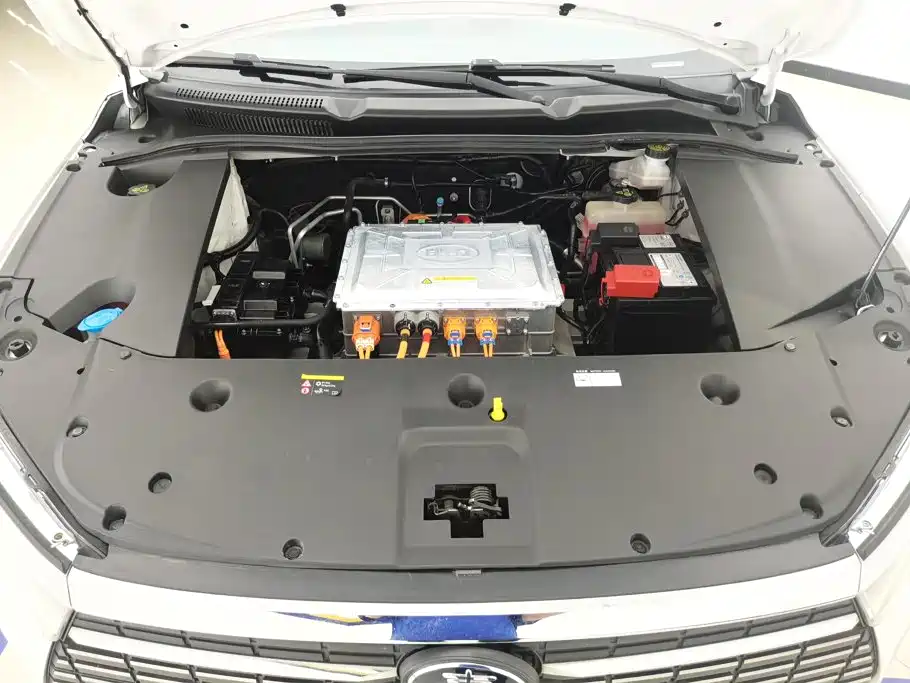 BYD Qin New Energy 2020 2019 Long Range Edition Premium