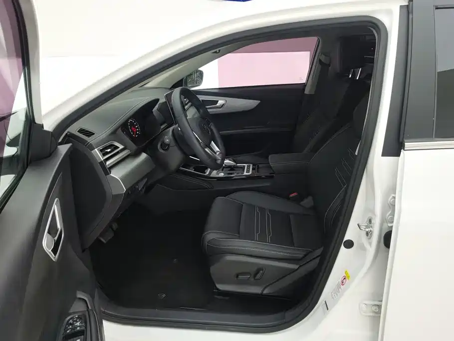 BYD Qin New Energy 2020 2019 Long Range Edition Premium