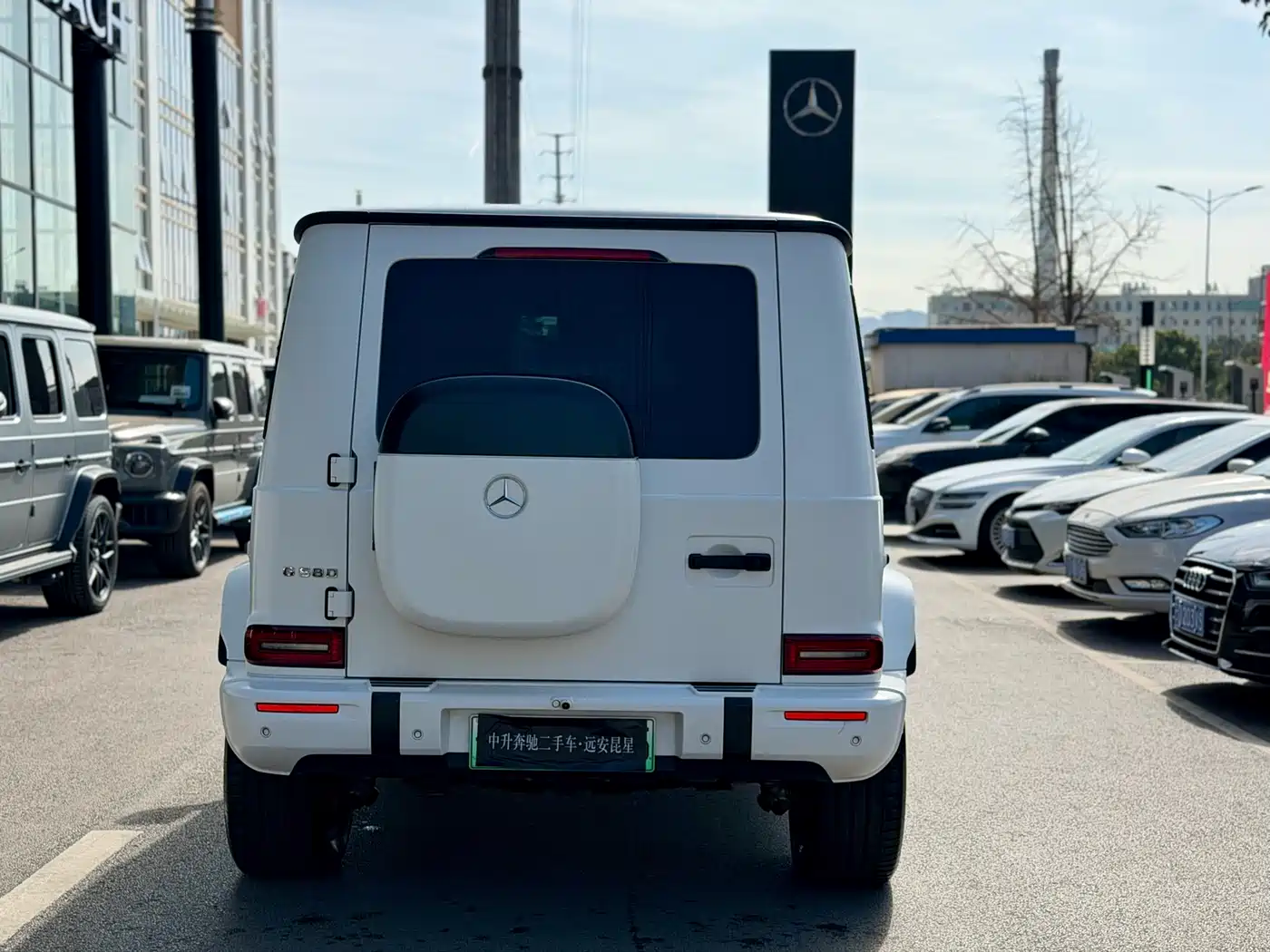 MERCEDES-BENZ G CLASS NEW ENERGY
