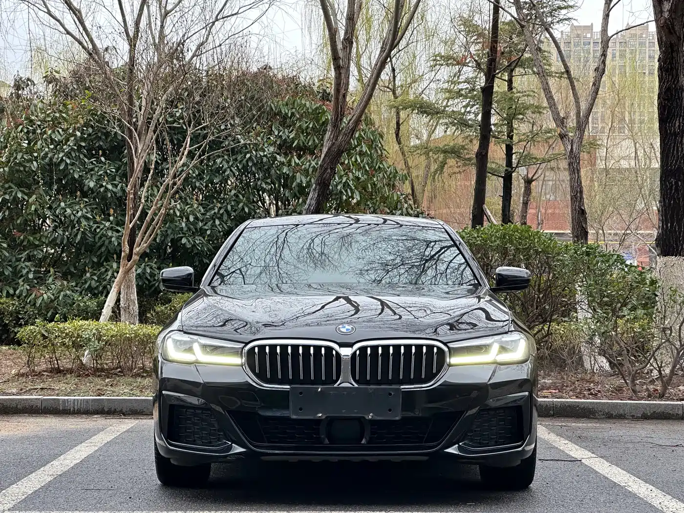 BMW 5 SERIES NEW ENERGY