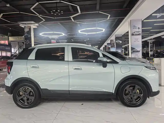 Geely Geometry E Firefly 2023 401KM Linglong Tiger 5-Seater — фото 4