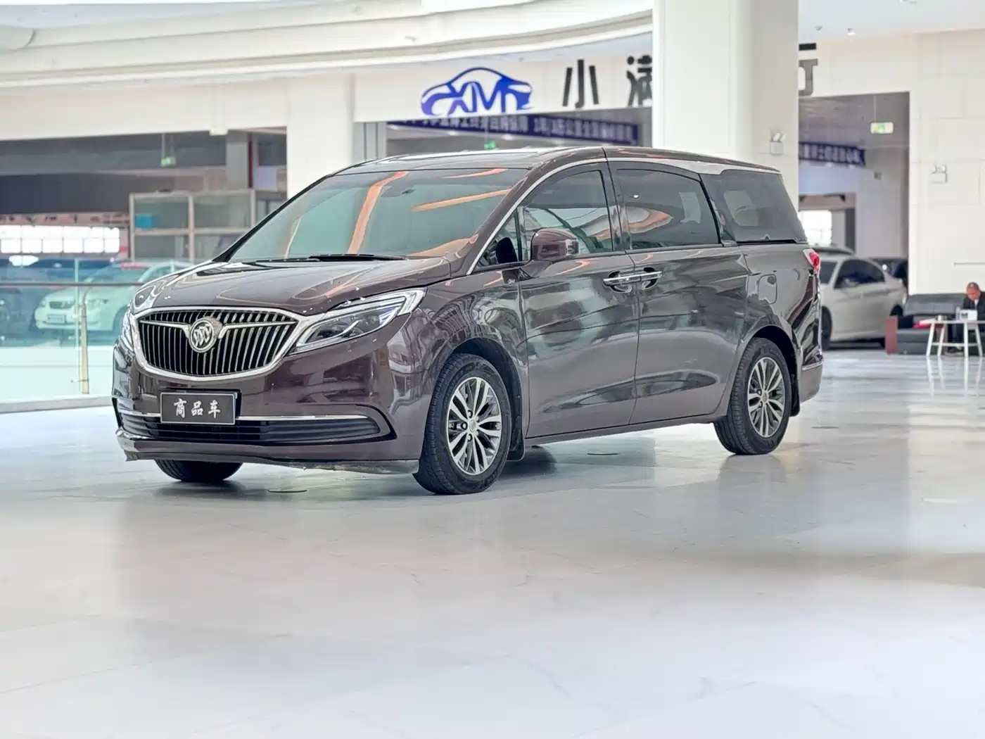 Buick GL8 2017 ES 28T Luxury China V