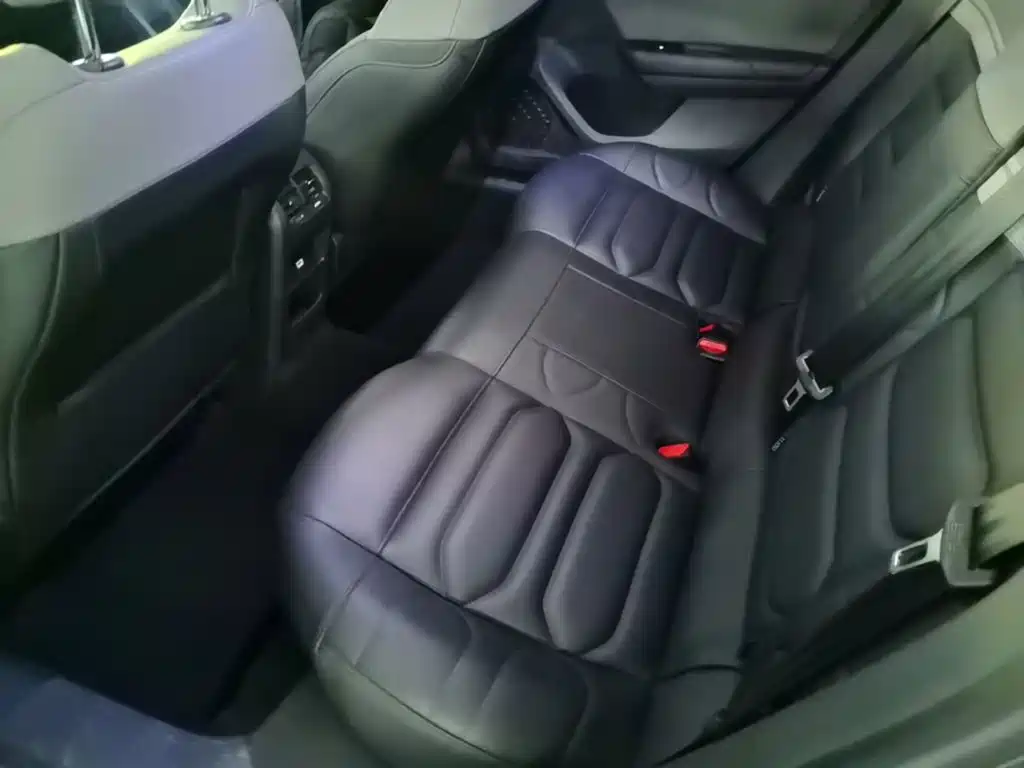 Фото 17 - Citroën Versailles C5 X