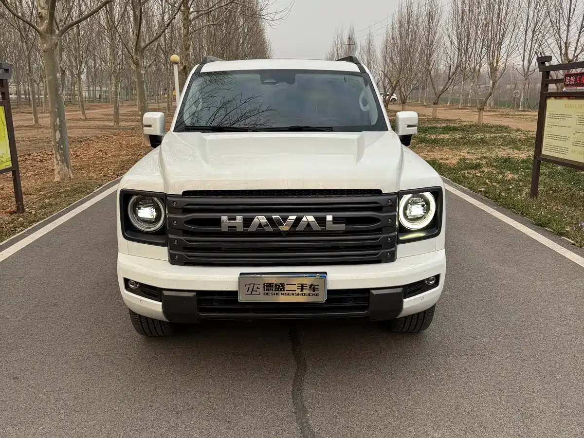HAVAL H9