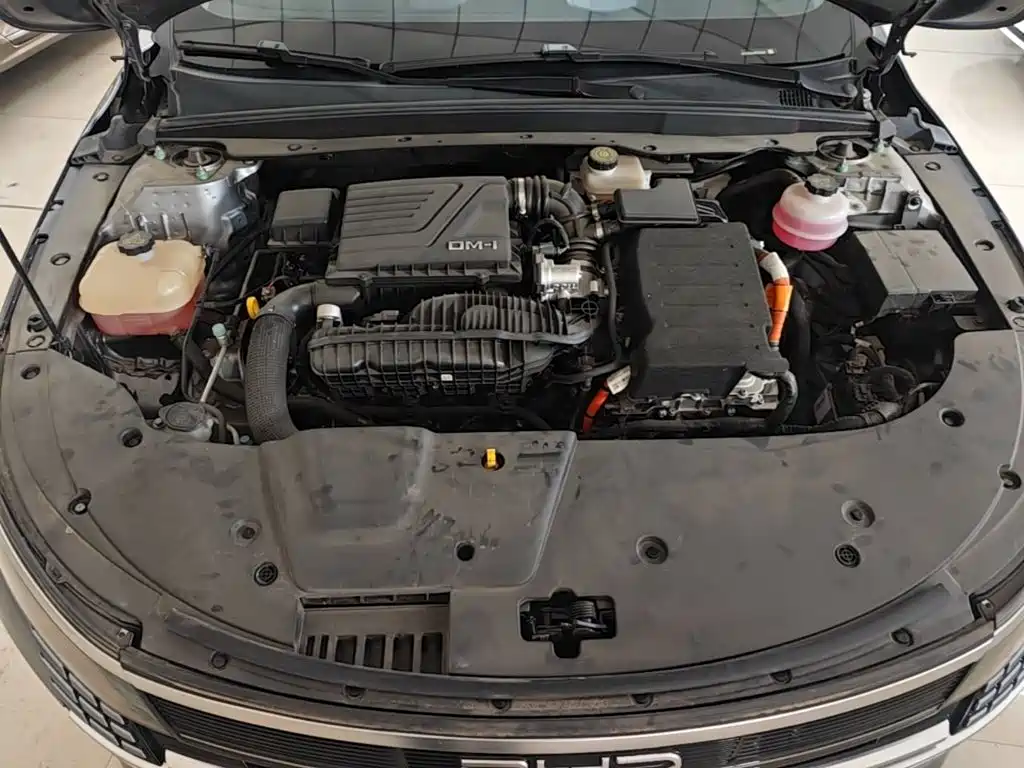 BYD Destroyer 05 2025 2024 Glory Edition DM-i 55KM Luxury