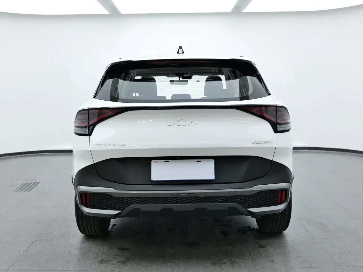 KIA LION PLATINUM EXPANDS THE WORLD