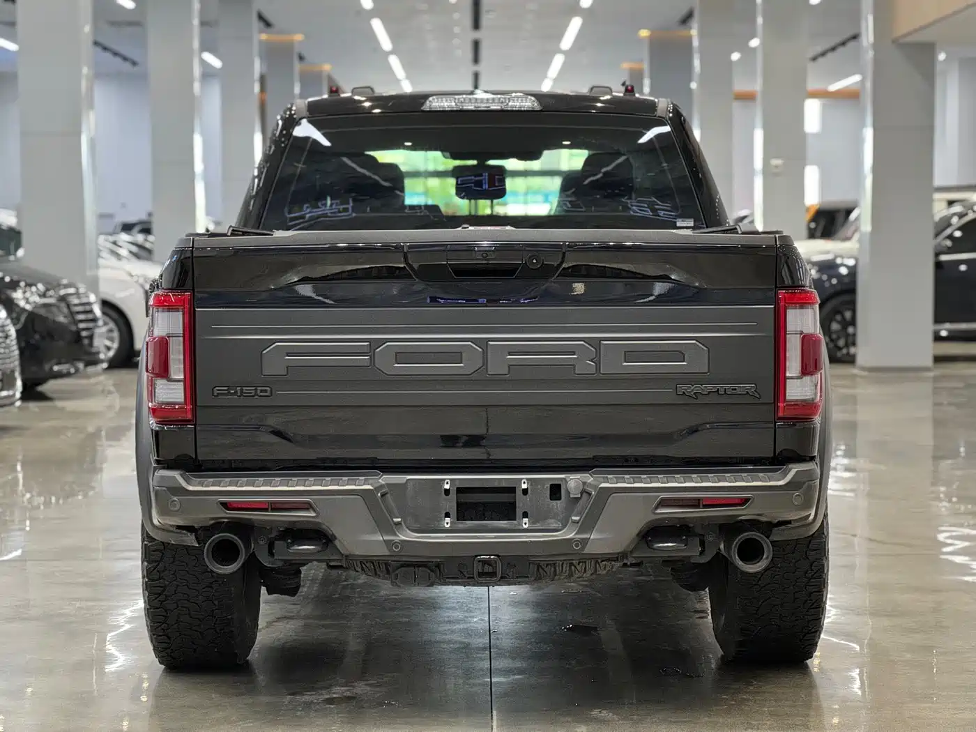 FORD F-150 RAPTOR
