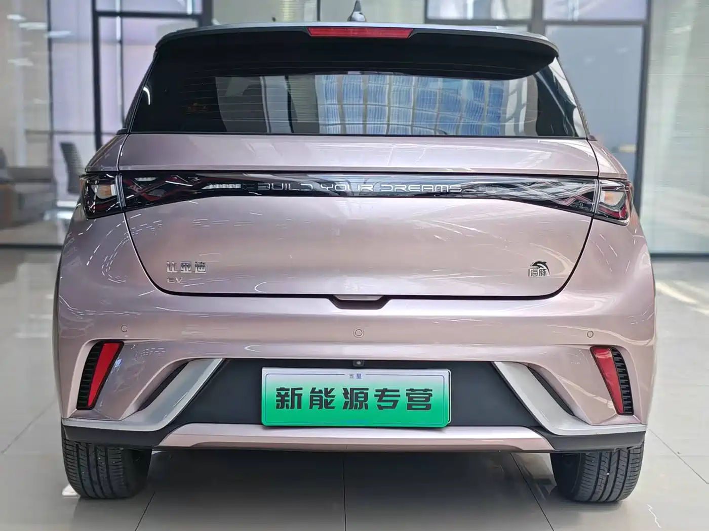 BYD Dolphin 2022 2021 Model 405km Fashion Edition