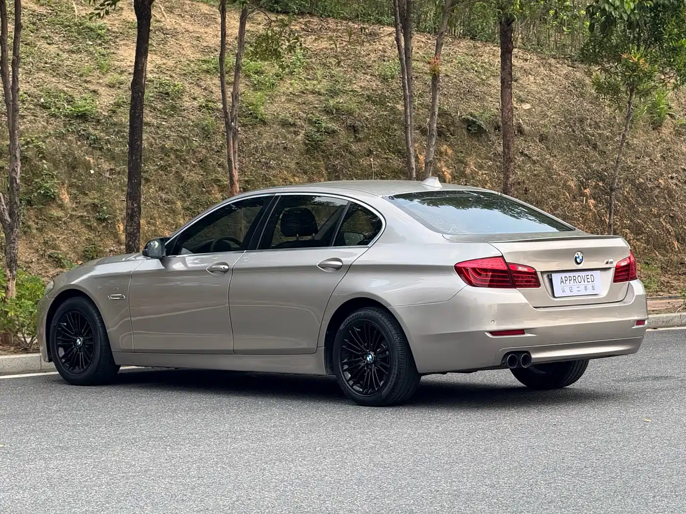 BMW 5 Series 2014 525Li Leading фото 6
