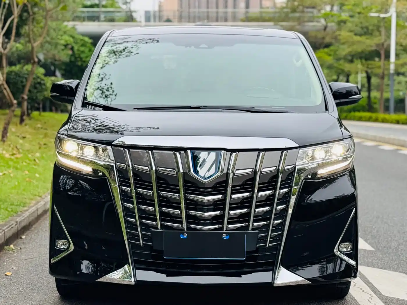 Toyota Alphard 2019 Hybrid 2.5L Luxury фото 6