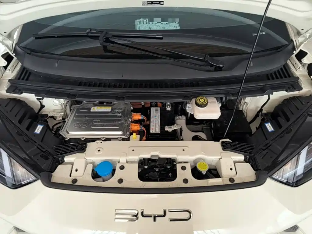 BYD Seagull 2023 2023 Vitality Edition