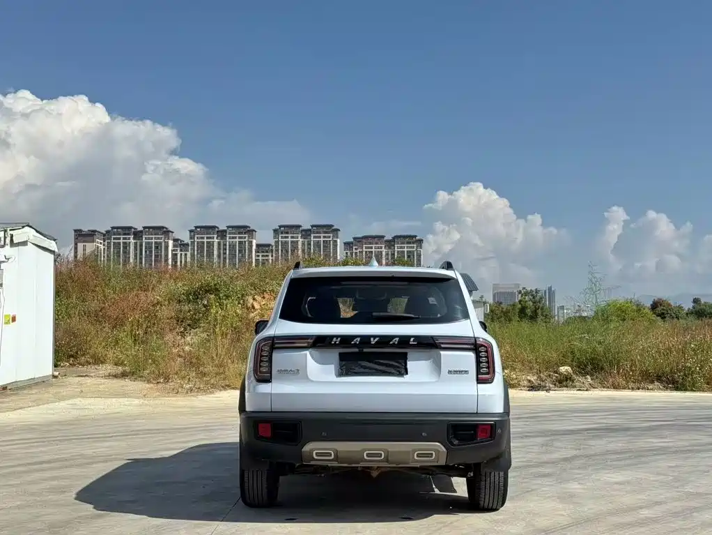 Фото 9 - Haval Dargo