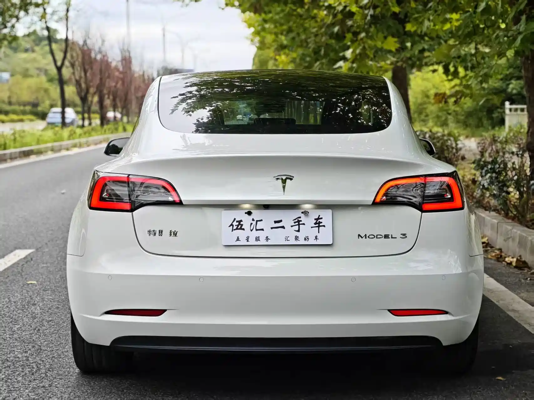Фото 16 - Tesla Model 3